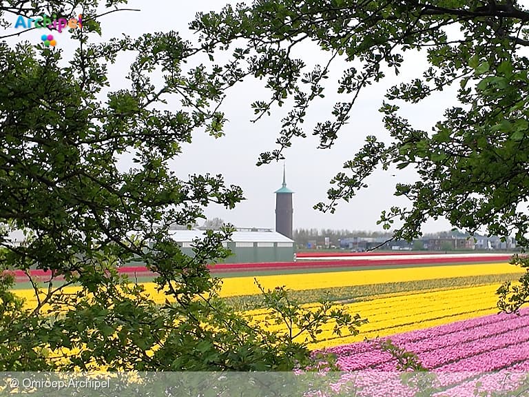 Trouwen in de watertoren in de toekomst misschien mogelijk