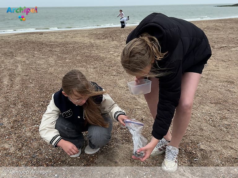 Basisschoolkinderen ontdekken het leven in de Noordzee