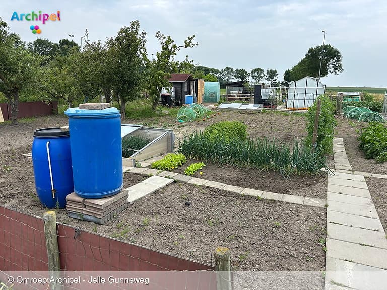 Ondanks inbraken zijn moestuinders toch blij met nieuwe stek
