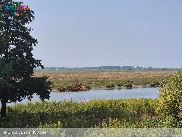 Oogstdag op Tiengemeten met huifkarren, oude ambachten en meer