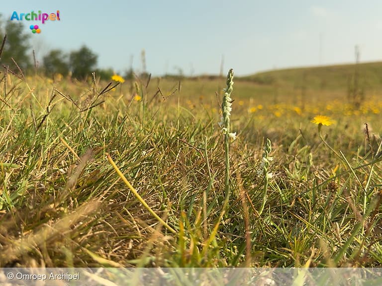 Onze regio is blinde vlek op de kaart van natuurbrandrisico