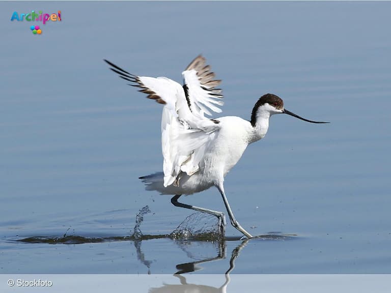 Inloopspreekuur over natuurbeheerplannen Grevelingenmeer