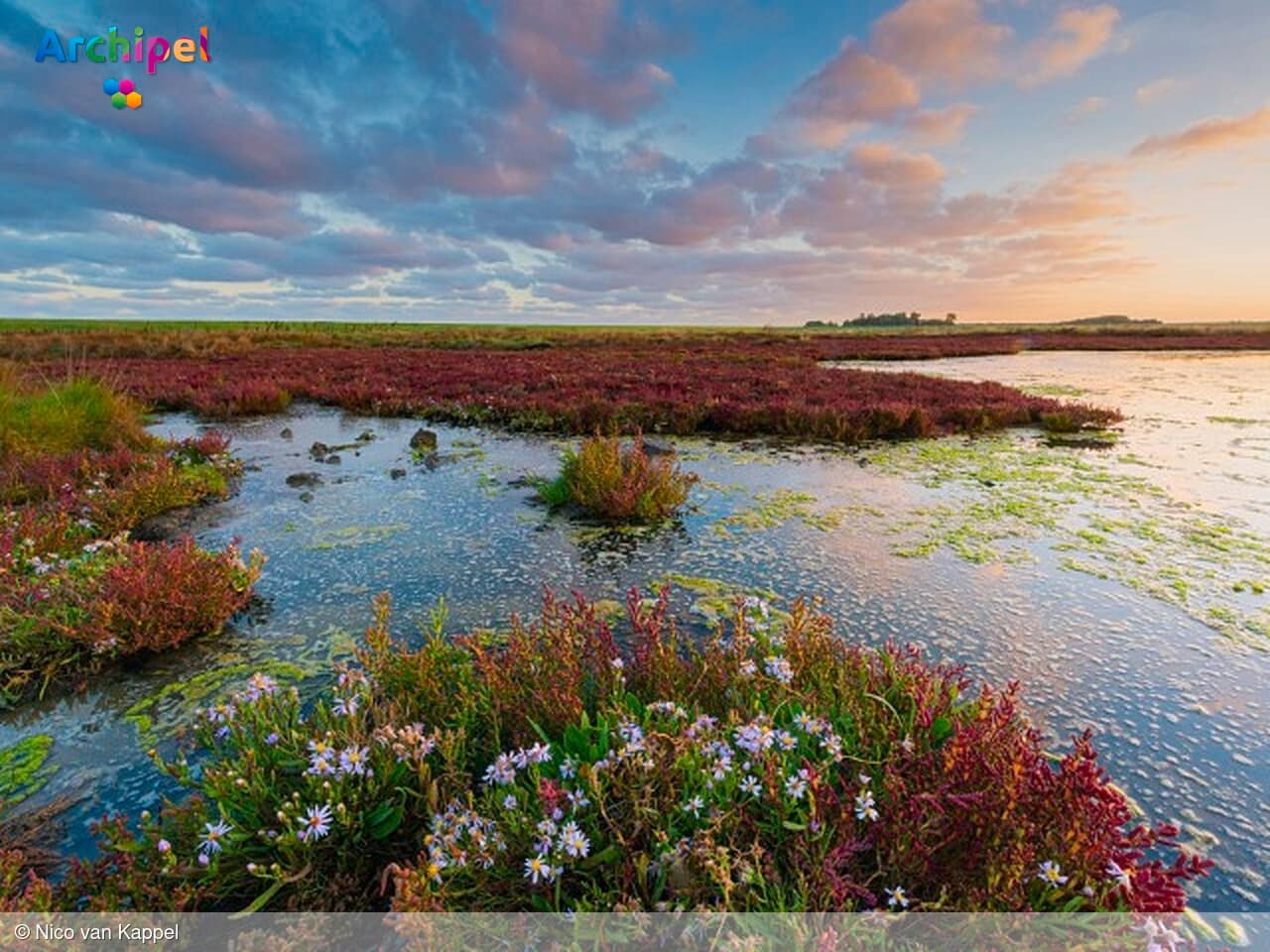 Eerste Oosterschelde Natuurfestival bij PiXLife