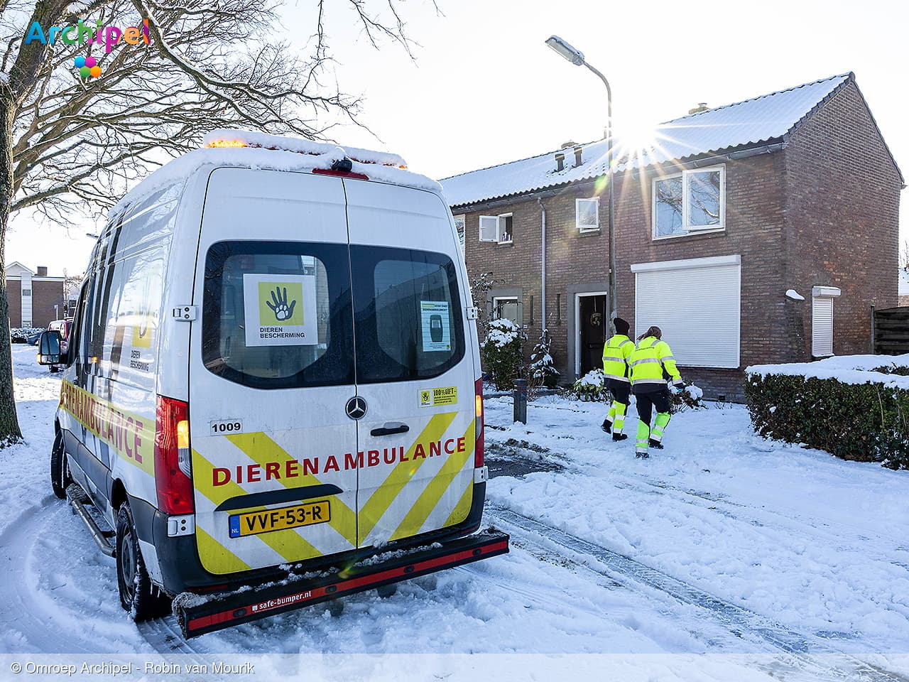 Kat overleden na brand in woning