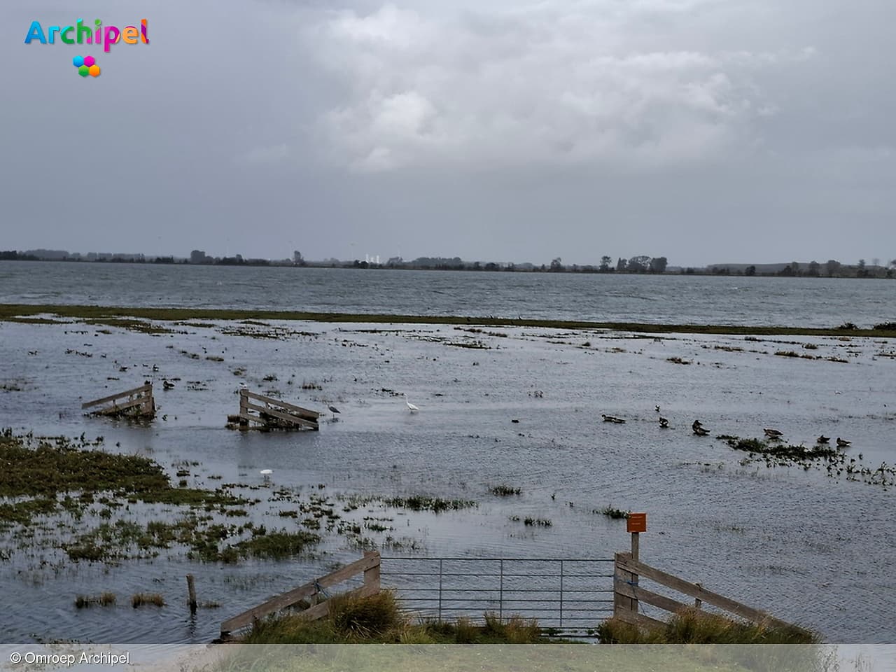 Nieuwe risicokaarten tonen kans op overstroming Goeree-Overflakkee