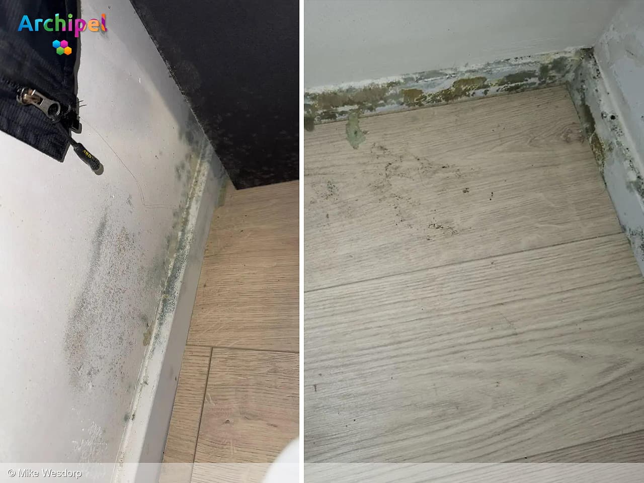 Onrust over schimmel in sociale huurwoningen Oost West Wonen