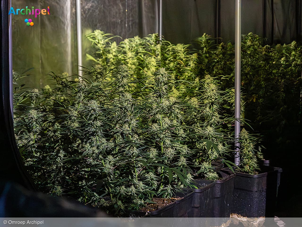 Drugshandel en overlast in Rijnmond: afname op Goeree-Overflakkee