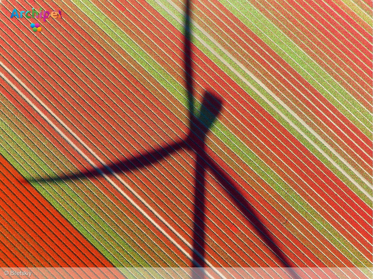 Aanvragen voor subsidie Windfonds mogelijk tot 15 maart