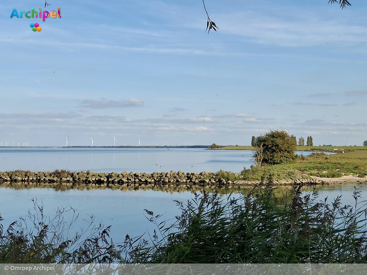 Politiek op donderdag: Waterbeheer en omgevingsbeleid