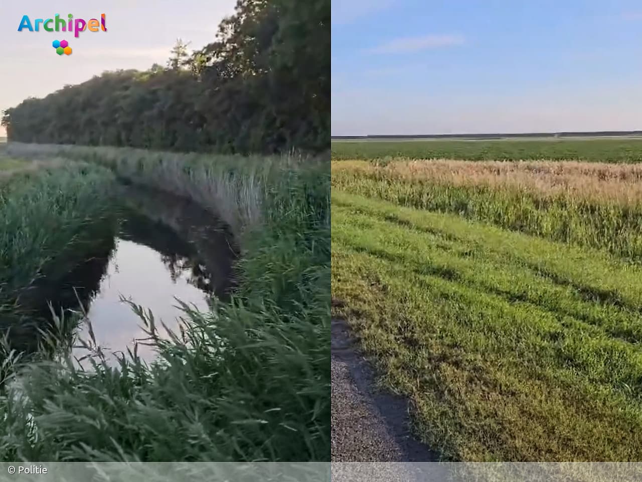 Auto komt na ongeval tussen bomen tot stilstand