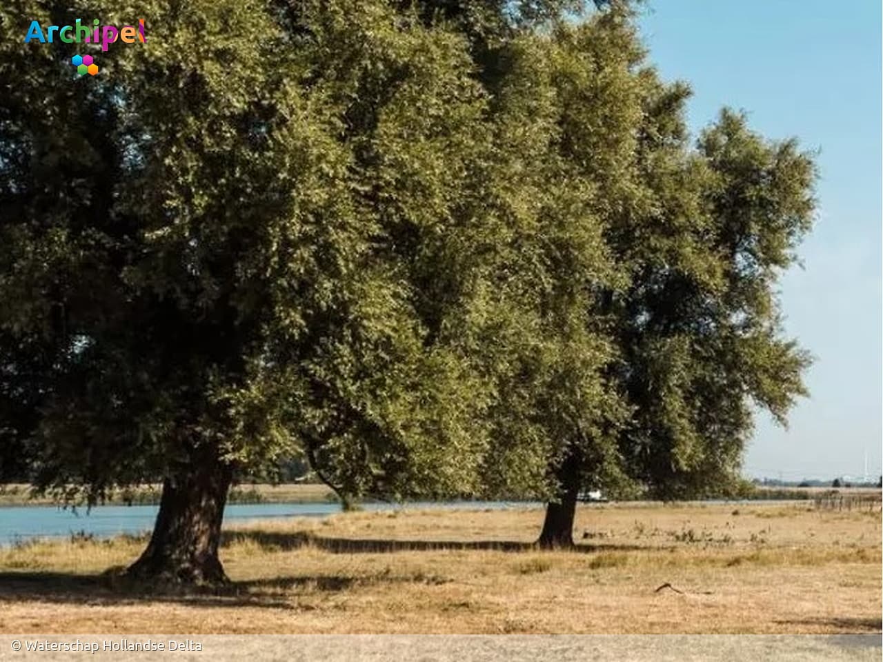 Overdag verbod op wateronttrekking op de kop van Goeree