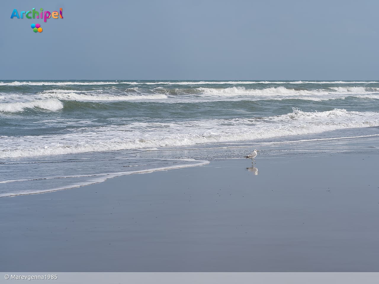 Noordzee kampt met hittegolf en breekt warmterecord