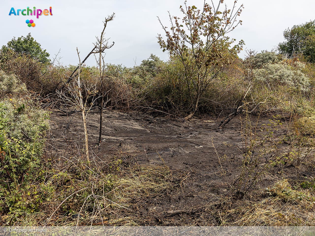 Brand in duingebied Ouddorp onder controle