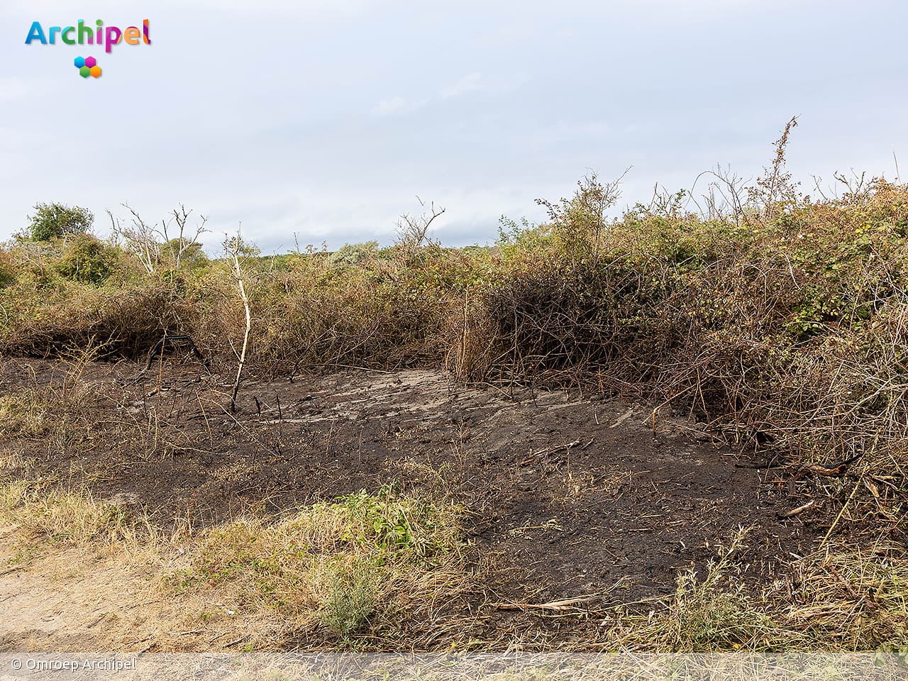 Brand in duingebied Ouddorp onder controle