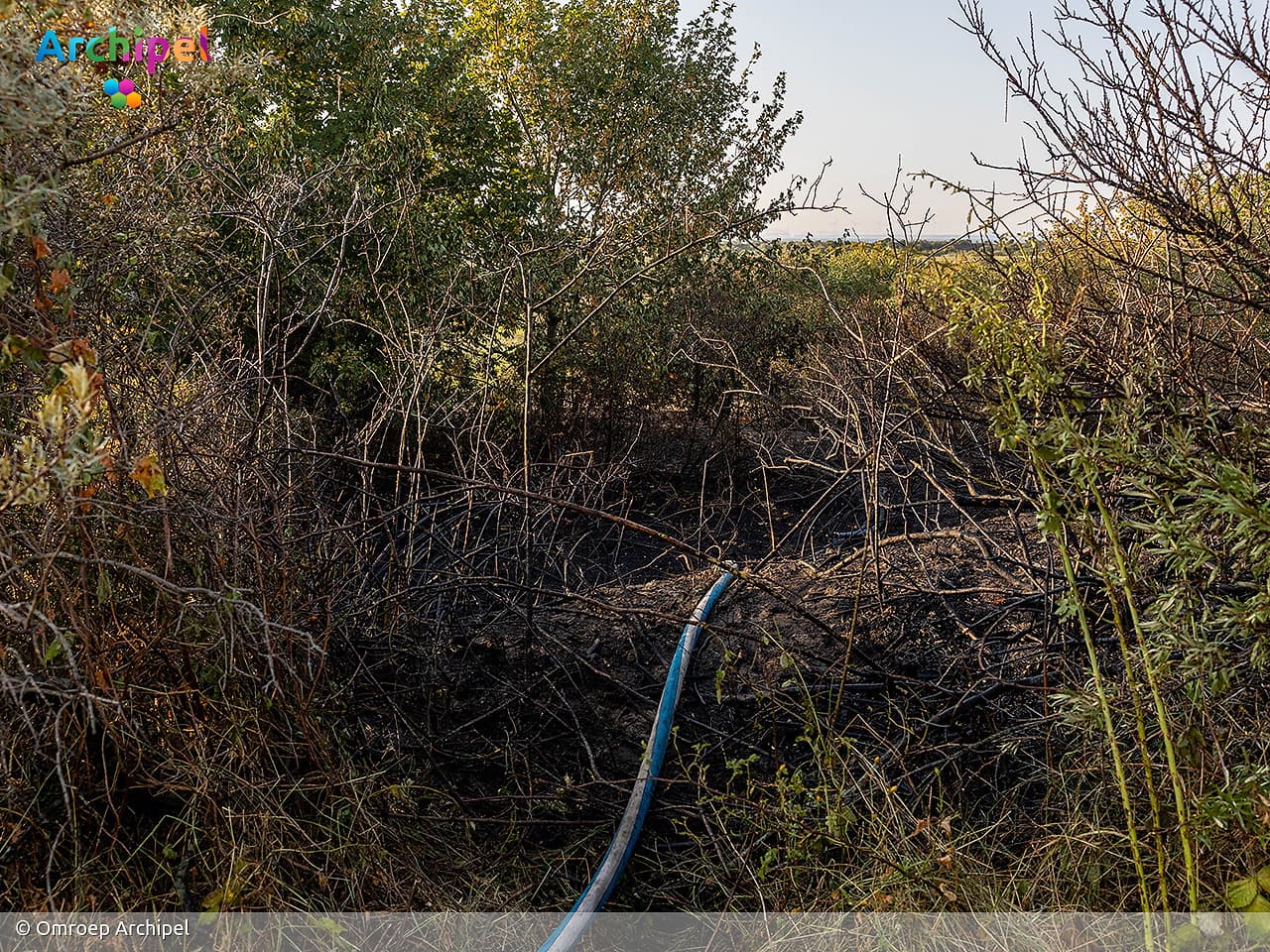 Duinbrand bij de Kwade Hoek