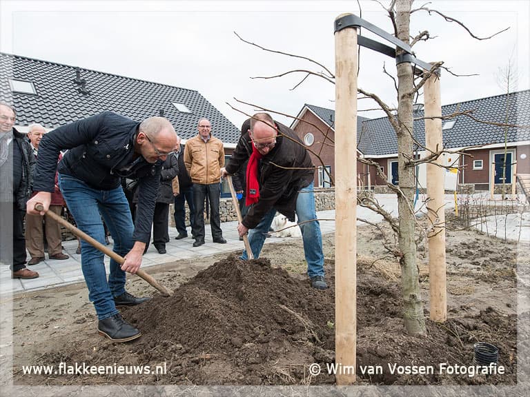 Boom geplant bij nieuwbouwproject Den Bommel