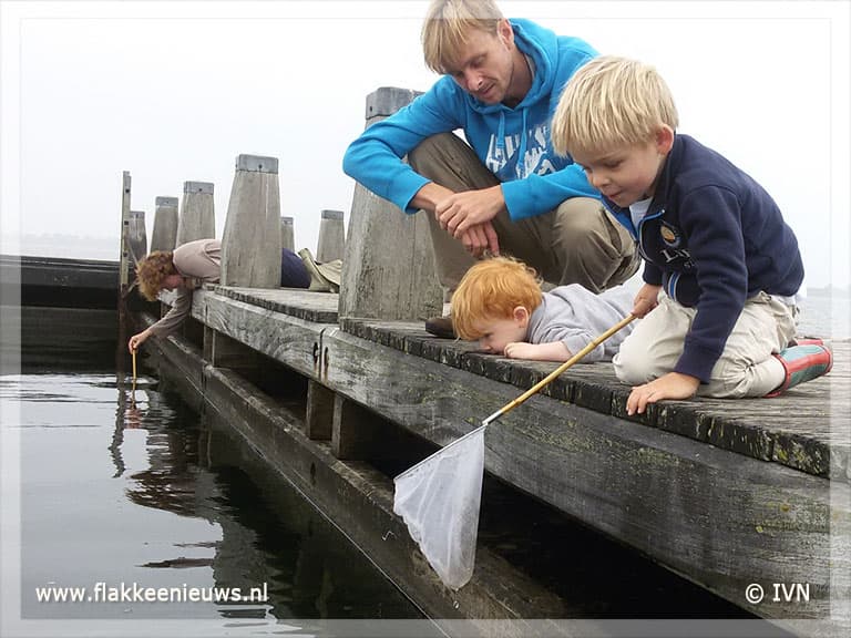 Succesvolle eerste editie Grevelingenweek