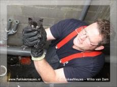 Kitten gered uit uitgebrande kelder