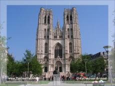 Advertorial: Concertreis naar Brussel met Flakkeese musici