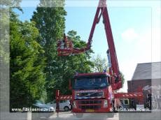 Brandweer redt kat uit de boom