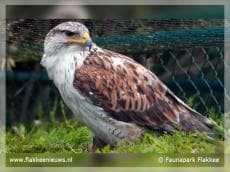 Faunapark Flakkee weer open