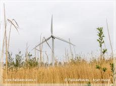 Meer gemeenten aan de slag met windenergie
