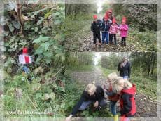 Kleuters Stellegors lopen kabouterpad