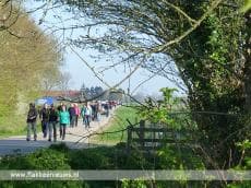 4e Tulpenwandeltocht trekt recordaantal deelnemers