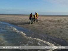 KNRM schiet zeehond te hulp