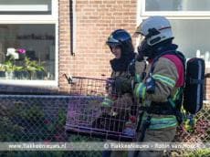 Huisdier overleden bij woningbrand
