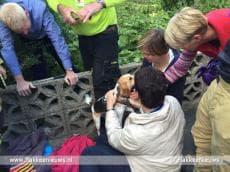 Hondje door brandweer bevrijd