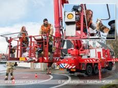 Kat met hoogwerker van dak gered