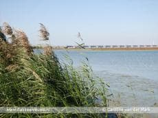 Haringvlietsluizen later open vanwege watertekort
