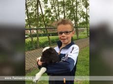 Dierenweide bij Tuunstee Nieuwe-Tonge geopend