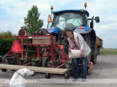 Flakkeese akkerranden weer ingezaaid