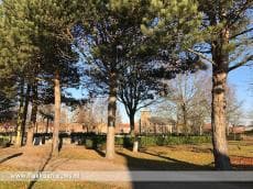 Spullen gestolen bij kindergraf Stellendam