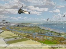 Basisscholen verkennen deltanatuur Haringvliet