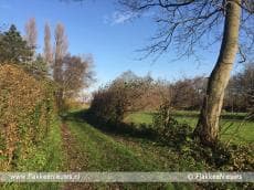 Petitie voor eerherstel van kerkepaden in Ouddorp