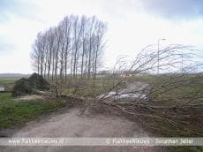 Stormschade op Goeree-Overflakkee