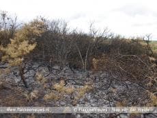 Brand op de Slikken van Flakkee