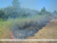 Wederom brand op de Slikken van Flakkee