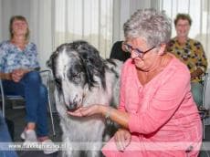 Zorg kan niet zonder dieren