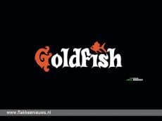 Laatste oproep auditie jongerenband Goldfish