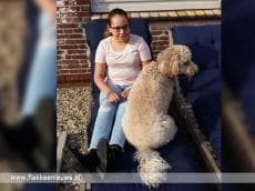 15-Jarige start doneeractie voor hulphond