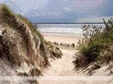 Natuurserie Best of Nature belicht kustlijn Goeree-Overflakkee