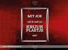 Flakkeese uutdruksels op valentijnskaarten