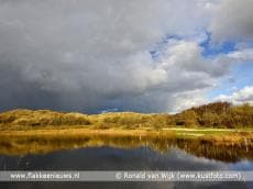 Waterwinning en natuurbehoud in de duinen