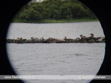 Vaartocht over de Grevelingen