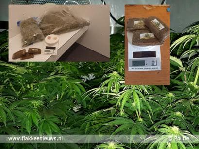 Hennepkwekerij aangetroffen in Ooltgensplaat