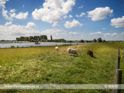 Waterschap wil bloemrijke en kruidenrijke dijken